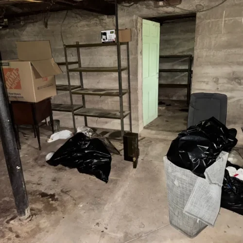 Home Basement Cleanout