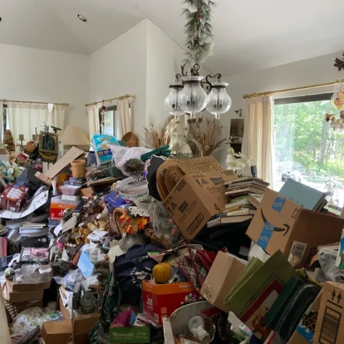 Home Hoarding Cleanup