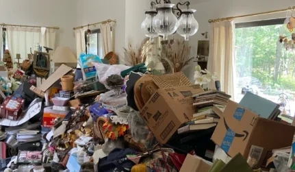 Home Hoarding Cleanup
